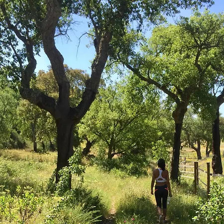 Κατάλυμα σε φάρμα Quinta Do Archino Alenquer