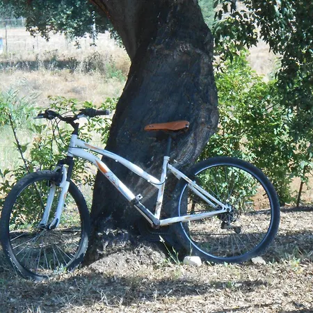 Quinta Do Archino Аленкер