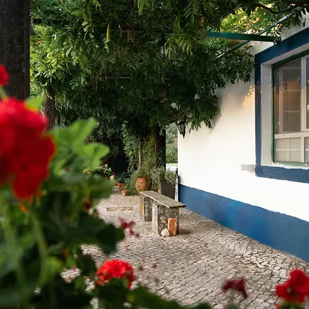 Quinta Do Archino Alojamento de Turismo Rural