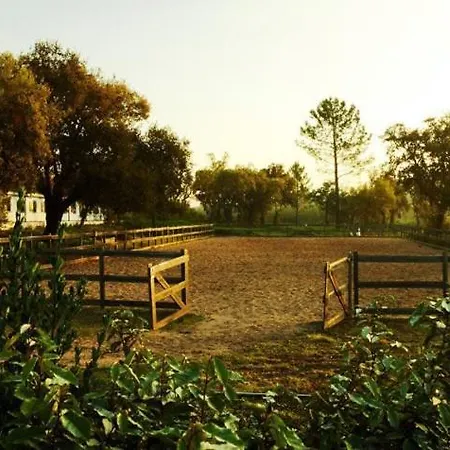 Séjour à la ferme Quinta Do Archino Alenquer