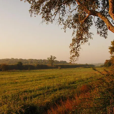 Quinta Do Archino Alojamento de Turismo Rural