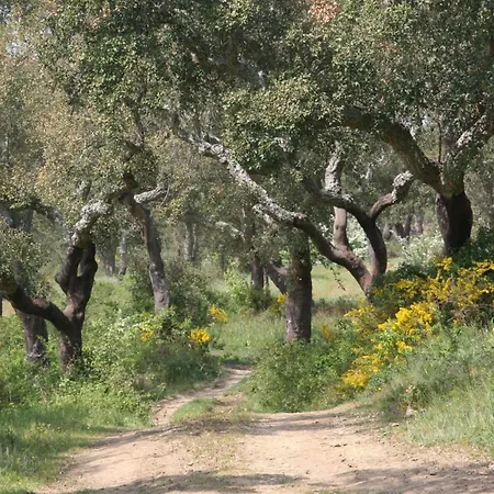 Quinta Do Archino *