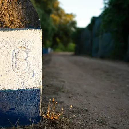Séjour à la ferme Quinta Do Archino