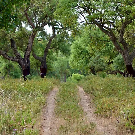 Quinta Do Archino Séjour à la ferme Alenquer