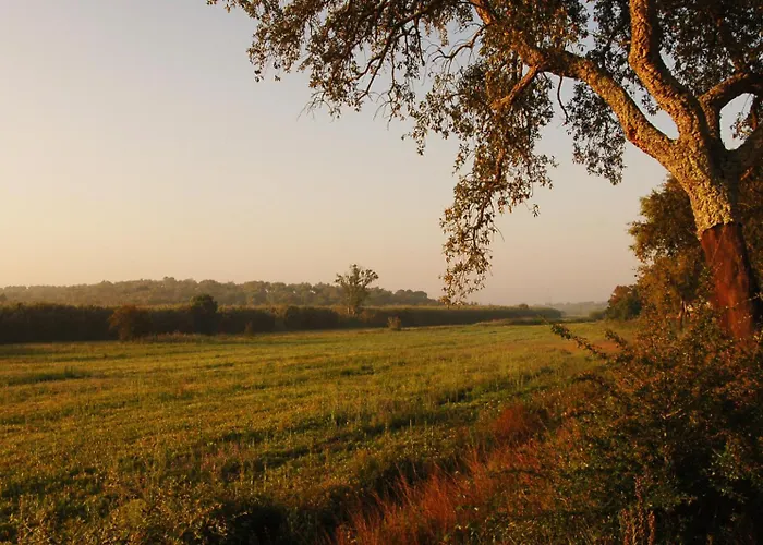 Quinta Do Archino Farma
