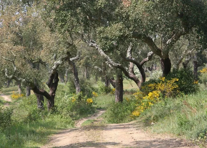 Quinta Do Archino *