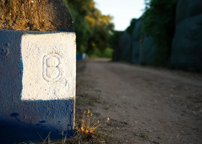 Alojamento de Turismo Rural Quinta Do Archino