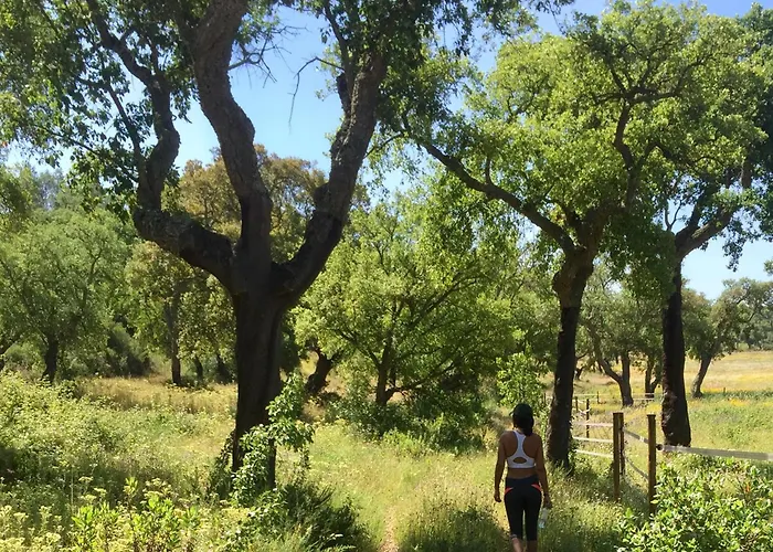 Κατάλυμα σε φάρμα Quinta Do Archino Alenquer
