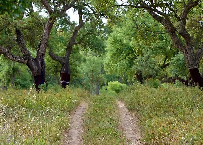 Quinta Do Archino Κατάλυμα σε φάρμα Alenquer
