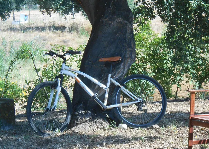 Quinta Do Archino Alenquer